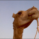 The-Fifth-Element-04