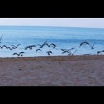 Calvin-Harris-and-Disciples—How-Deep-Is-Your-Love-02