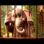 Coldplay—Paradise-01