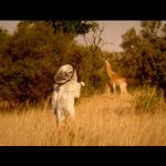 Coldplay—Paradise-02