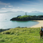Free-Rein-11
