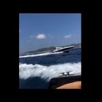 The-Tinder-Swindler-07