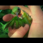 Epic-(2013-film)-006