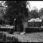 Lukas-Graham—7-Years-007