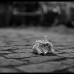 Lukas-Graham—7-Years-008