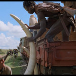 Out-of-Africa-005