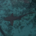 Pitbull—Timber–ft-Kesha-005.