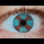 Resident-Evil-Apocalypse-2004–002