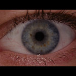 Resident-Evil-Extinction-002