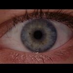 Resident-Evil-Extinction-002