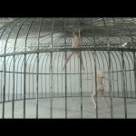 Sia—Elastic-Heart-006