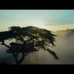 The-Legend-of-Tarzan-004