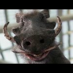 Chip-and-Dale-Rescue-Rangers—film-010