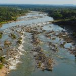 Deep-in-the-Heart-A-Texas-Wildlife-Story-006