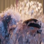 Diary-of-a-Wimpy-Kid-002