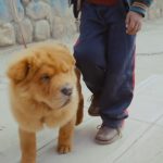 Naughty-Boy—La-la-la-ft.-Sam-Smith-009