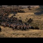 The-Power-of-the-Dog-001