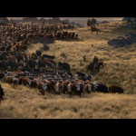 The-Power-of-the-Dog-001