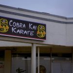 Cobra-Kai-008