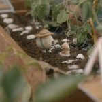 Marcel-The-Shell-With-Shoes-On-001