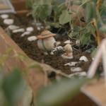 Marcel-The-Shell-With-Shoes-On-001