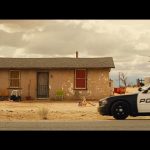 Nocturnal-Animals-006