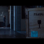 Nocturnal-Animals-010