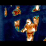 Aliens-vs.-Predator-Requiem-006