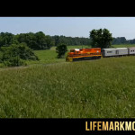 Lifemark-003