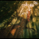 Tarzan-006