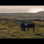 The-Banshees-of-Inisherin-005