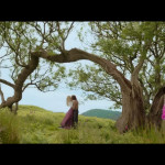 Willow-film-002