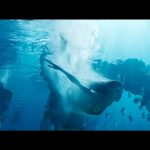 Avatar-The-Way-of-Water-001