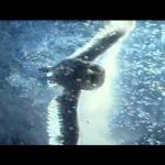 Legend-of-the-Guardians-The-Owls-of-Ga’Hoole-007