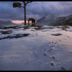 Pinocchio-(2022-animated-film)-006