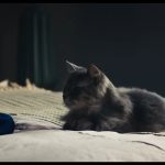 A-Man-Called-Otto-011