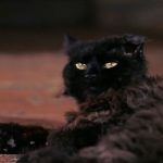 Bedknobs-and-Broomsticks-007