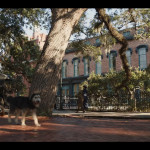 Lady-and-the-Tramp-(2019)-003