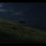 Lady-and-the-Tramp-(2019)-005