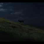 Lady-and-the-Tramp-(2019)-005