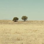 No-Country-for-Old-Men-005
