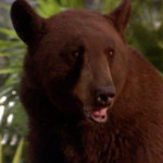 Rudyard-Kipling’s-The-Jungle-Book-(1994)-005