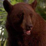 Rudyard-Kipling’s-The-Jungle-Book-(1994)-005