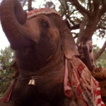 Rudyard-Kipling’s-The-Jungle-Book-(1994)-008