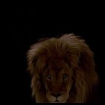 The-Last-Temptation-of-Christ-003