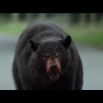 Cocaine-Bear-007