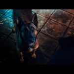 John-Wick-Chapter-4-006