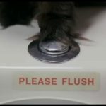 Meet-The-Fockers-008