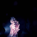 Sons-of-the-Forest-003