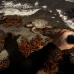 Sons-of-the-Forest-004